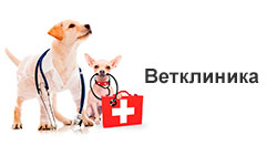 vet-2.